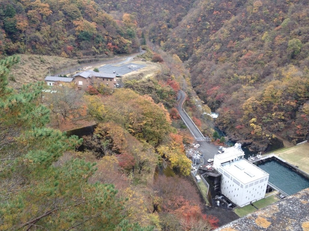 調布女子学生会館便り 東京 調布 女子学生会館 調布女子学生会館